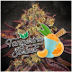 Paradise Seeds Tangerine Sorbet | Feminisiert | 10 Samen