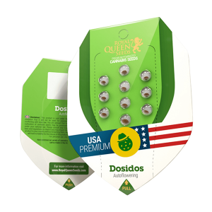 Royal Queen Dosidos - Auto - 3er