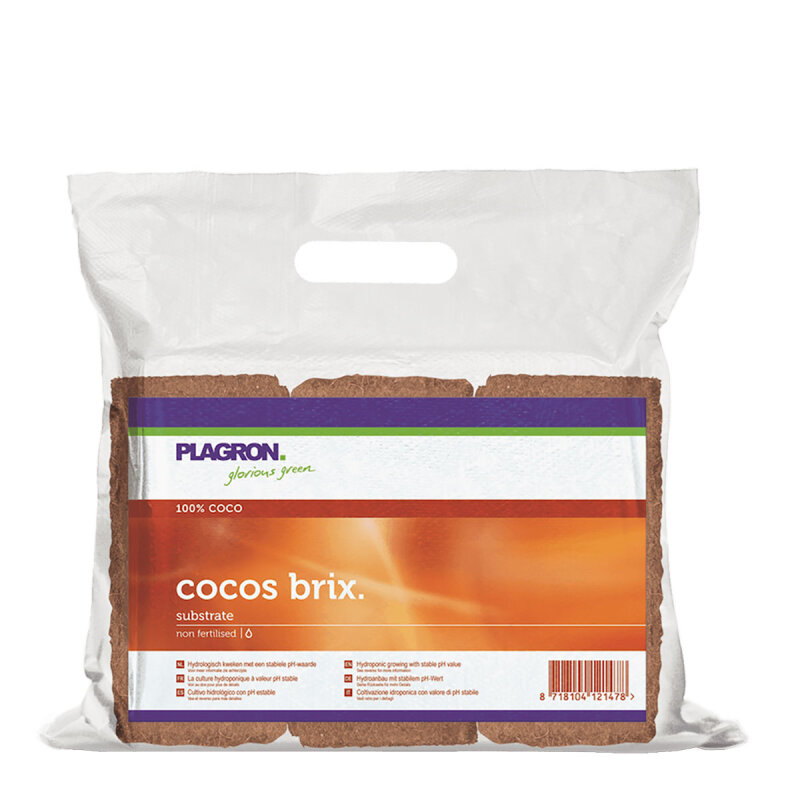 Plagron Cocos Brix 6 Stück