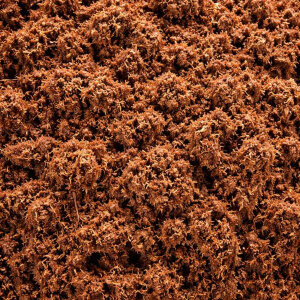 Plagron Cocos Brix 6 Stück