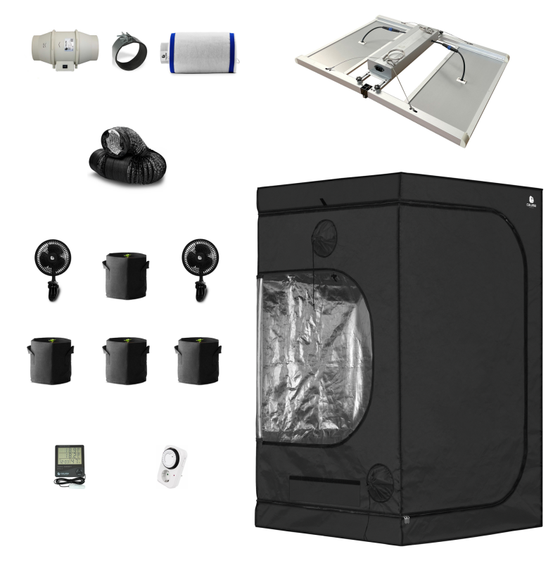Caluma set - 4 plants PLUS 120 x 120 cm 480 watts