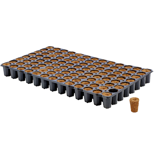 Eazy Plug Stecklingsblöcke rund Tray mit 104 Stück