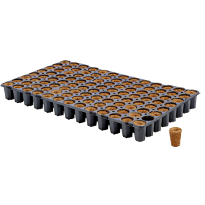 Eazy Plug Stecklingsblöcke rund Tray mit 104 Stück