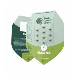 Royal Queen Mimosa | Automatik | 5 Samen