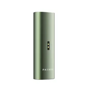 PAX Mini 2 Greenstone
