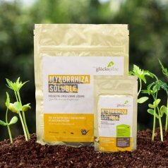 Mycorrhiza Soluble 90 g