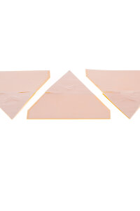 Gelbsticker 10 Stück Neudorff