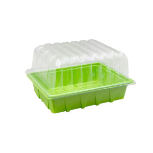 Eazy Plug Set Gewächshaus mit 12 Stück