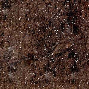 Bio Bizz All Mix 50 l