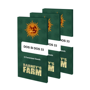 Barneys Farm Dos Si Dos 33 | Feminisiert | 10 Samen