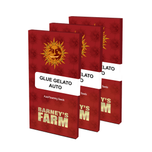 Barneys Farm Glue Gelato | Automatik | 3 Samen - Auslaufartikel
