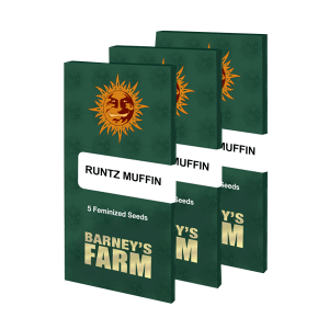 Barneys Farm Runtz Muffin | Feminisiert | 5 Samen -...