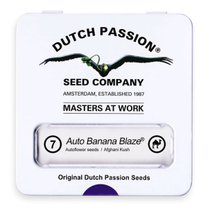 Dutch Passion Auto Banana Blaze | Automatik | 7 Samen
