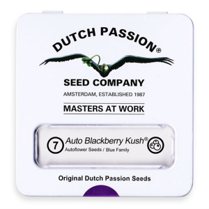 Dutch Passion Auto Blackberry Kush | Automatik | 7 Samen