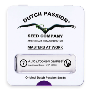 Dutch Passion Auto Brooklyn Sunrise | Automatik | 7 Samen...