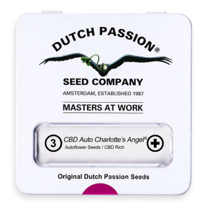 Dutch Passion Auto CBD Charlottes Angel | Automatik | 3...