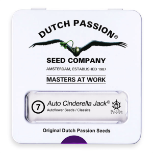 Dutch Passion Auto Cinderella Jack | Automatik | 7 Samen