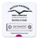 Dutch Passion Auto Orange Bud | Automatik | 3 Samen