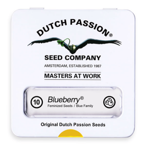 Dutch Passion Blueberry | Feminisiert | 10 Samen