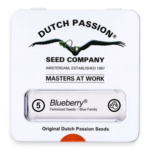 Dutch Passion Blueberry | Feminisiert | 5 Samen