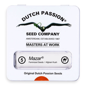 Dutch Passion Mazar | Feminisiert | 5 Samen