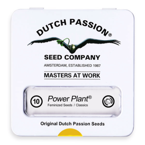 Dutch Passion Power Plant | Feminisiert | 10 Samen