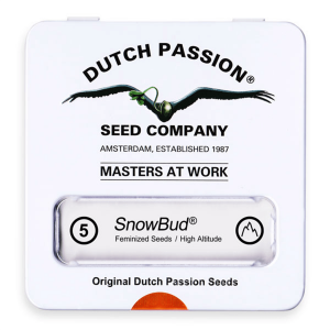 Dutch Passion Snow Bud | Feminisiert | 5 Samen