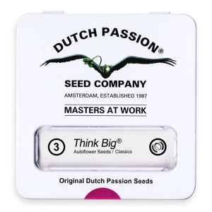 Dutch Passion Think Big | Automatik | 3 Samen