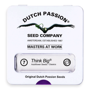 Dutch Passion Think Big | Automatik | 7 Samen