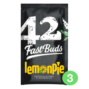Fast Buds Lemon Pie | Automatik | 3 Samen