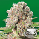 Paradise Seeds Mendocino Skunk | Tommy Chongs collection | Feminisiert | 5 Samen