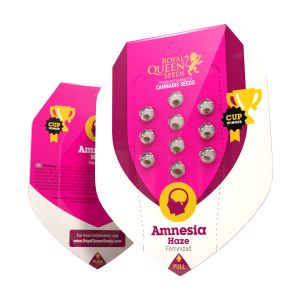 Royal Queen Amnesia Haze | Feminisiert | 5 Samen